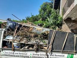 Best Attic Cleanout  in Carteret, NJ