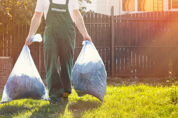 Shed Removal in Carteret, NJ